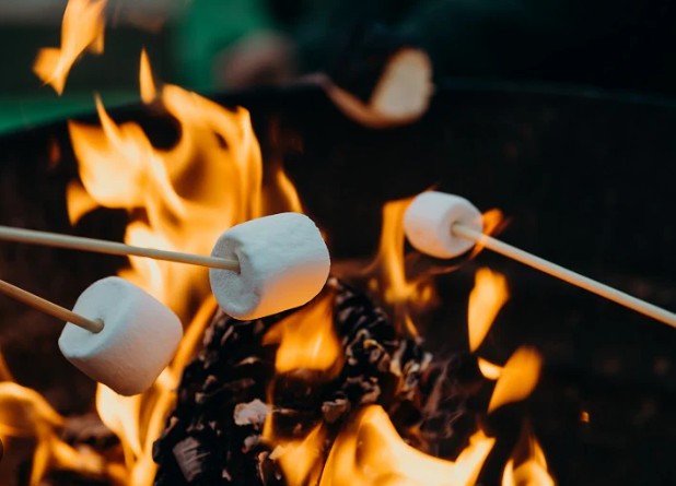 Campfire and Marshmallows
