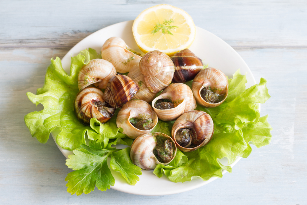 snails