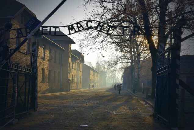 History Trip to Kraków